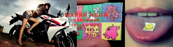 mdpv Новодвинск