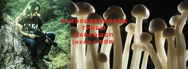 наркотики Алексин